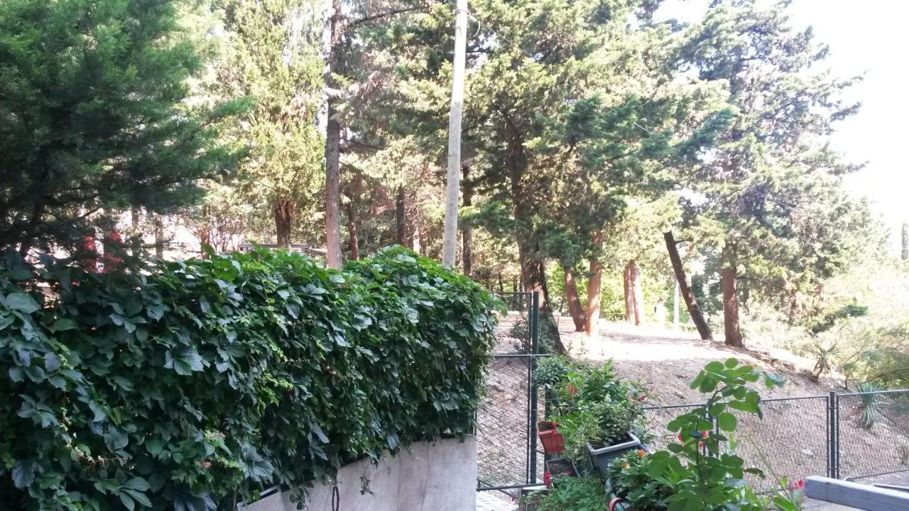 Anamarija Apartman Dubrovnik Eksteriør billede