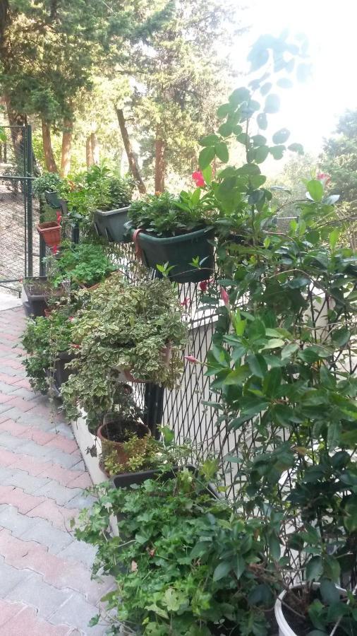 Anamarija Apartman Dubrovnik Eksteriør billede